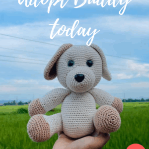Buddy, The Dog